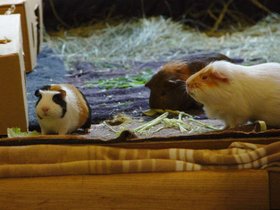 2018-11-09-1 Emily and her cohort.jpg